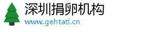 深圳捐卵机构	